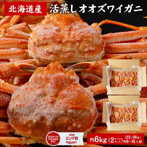 IIYCKj 󂠂i3kg×2P[XjYCKj 󂠂 {C IIYCKj kC 킢I Jj  CN Mtg O  hV̓Mtg j