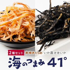 おつまみ 珍味 海のつまみ41°2種セット（イカ墨さきいか・あたりめ） メール便 送料無料 プレゼント 北海道加工 ギフト 丸市岡田商店 母の日 【パケ】 お取り寄せ 人気 北海道