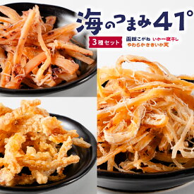 おつまみ 珍味 海のつまみ41°3種セット（函館こがね・いか一夜・いか天） メール便 送料無料 いか あたりめ いか珍味北海道加工 ギフト 丸市岡田商店 母の日 【パケ】 お取り寄せ 北海道