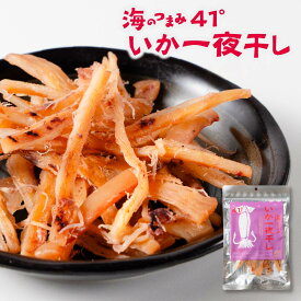 おつまみ 珍味 海のつまみ41° 函館 いか一夜干し メール便 送料無料 おつまみ スルメイカ さきいか 干物 イカ一夜干し 国産 珍味 グルメギフト 詰め合わせ 太裂き やわらかい 家飲み プレゼント 御歳暮 お年始 バレンタイン ホワイトデー お返し 【パケ】