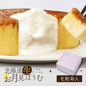 o[N[w oEN[w L[ kCoE N[udグ ΂ o[N[w XC[c Mtg  P[L v`Mtg nEB Ε