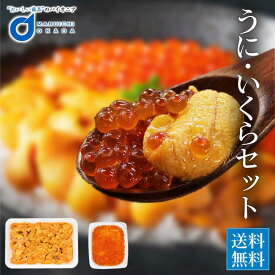 チリ産生うに 100g イクラ 60g セット いくら イクラ 雲丹 醤油漬 丼 ちらし寿司 魚卵 海鮮 北海道 グルメ お取り寄せ 御歳暮 冷凍食品 食べ放題 バレンタイン ホワイトデー お返し