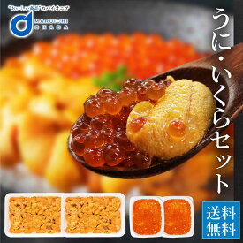チリ産生うに 100gx2 イクラ 60gx2 セット いくら イクラ 雲丹 醤油漬 丼 ちらし寿司 魚卵 海鮮 北海道 グルメ お取り寄せ 御歳暮 冷凍食品 食べ放題 バレンタイン ホワイトデー お返し