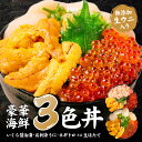 ウニいくらセット 海鮮丼セット うに いくら セット 北海道 海鮮 三色丼 海鮮丼セット 3色丼 海鮮 ギフト 刺身 冷凍 …