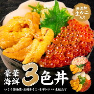ウニいくらセット 海鮮丼セット うに いくら セット 北海道 海鮮 三色丼 3色丼 刺身 冷凍 ネギトロ ウニ …