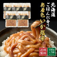 イカ ご飯のお供 ギフト 【TVで紹介されました！】いか塩辛 北海道 ごはんに合う海の幸 無着色 100g×5個…