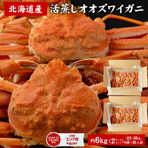 IIYCKj 󂠂i3kg×2P[XjYCKj 󂠂 {C IIYCKj kC Y Jj  킢 킢I kC Ⓚ {C   G ɂ݂ SC`  ӂ邭 