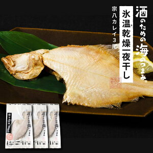 X@JC  kCY X銱 ꂢ 3Zbg ܂ ̂ ̍ JC  銱 J Y kCY Ⓚ O CN   lߍ킹 Zb