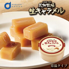 花畑牧場 生キャラメル 常温タイプ プレーン キャラメル 北海道 北海道限定 土産 定番 キャンディ ドライプレーン 北海道産 スイーツ 手造り とろける プレゼント 贈り物 お土産 手土産 ギフトバレンタイン ハロウィン お歳暮 冬ギフト