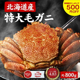 北海道産 特大 毛蟹 毛ガニ 800g 送料無料【クーポンで500円OFF 〜12/15終了】札幌 場外市場 ボイル 海鮮グルメ ギフト プレゼント まとめ買い お歳暮 冬ギフト