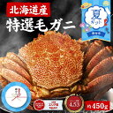 【お中元ギフト対応 P10倍★7/11 14時〜7/21 23:59】北海道産 毛蟹 450g×1尾 送料無料 かに 毛ガニ 毛がに 札幌 ボイル 海鮮グルメ お取り寄せ ギフト プレゼント 夏ギフト お中元 御中元