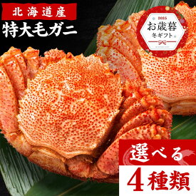 毛蟹 北海道産 毛ガニ 特大 毛がに 800g / 400g 尾数選べる 1尾 / 2尾セット まとめ買い 送料無料 堅蟹 カタガニ かたがに ケガニ 毛ガニ かに カニ お祝い お歳暮 お年賀 プレゼント お歳暮札幌 場外市場 ボイル お歳暮 冬ギフト