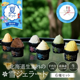 【夏ギフト対応】アイス 詰め合わせ 雪ジェラート 【6種セット】アイス ギフト アイスクリーム 業務用 北海道 スイーツ クリーム プレゼント お取り寄せ 夏ギフト お中元