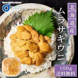 ウニ 塩水 送料無料 北海道産 ムラサキウニ うに 100g 冷蔵 生ウニ 雲丹 北海道 グルメ 塩水ウニ 寿司 贈り物 お取り寄せ 刺身 バレンタイン ホワイトデー お返し