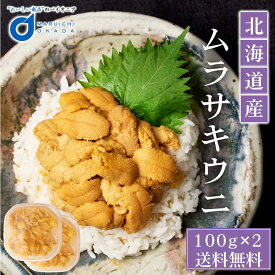 ウニ 塩水 送料無料 北海道産 ムラサキウニ うに 100g 2個セット 冷蔵 生ウニ 雲丹 北海道 グルメ 塩水ウニ 寿司 贈り物 お取り寄せ 刺身 バレンタイン ホワイトデー お返し