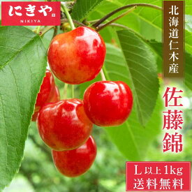 【絶賛シーズン！発送中】さくらんぼ 北海道 【産地直送】仁木産 佐藤錦 秀品 L〜2L 1kg 専用箱入 サクランボ 北海道産 フルーツ ギフト プレゼント 父の日 お中元 暑中見舞い 贈答用 人気 甘い 高級 余市 送料無料 果物 夏ギフト お取り寄せ グルメ 化粧箱入り 贈り物