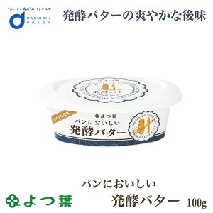 よつ葉 パンにおいしい発酵バター 100g バター 有塩 北海道 お土産 よつ葉乳業 ギフト 生キャラメル 北海道バター よつ葉 発酵バター バター パンケーキ 食品 通販 ギフト プレゼント ハロウ
