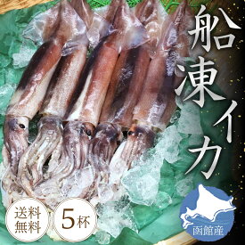 楽天市場 生 真イカの通販