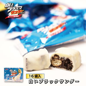 Ly ubNT_[ 16ܓ _ Mtg Ԍ肨 nEB 2025 Mtg v`Mtg XC[c َq mَq a j ސE  j ]  Ԃ