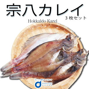 カレイ 魚の人気商品 通販 価格比較 価格 Com