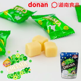 道南食品 生食感チェルシー 生キャラメルガナッシュ ヨーグルトスカッチ味 1袋 90g(目安21個前後)ギフト プチギフト スイーツ お菓子 洋菓子 donan 北海道限定 CHELSEA 生チェルシー ヨーグルト 誕生日 個包装 お祝い 転勤 お礼 お返し
