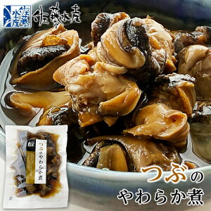 Y Ԃ̂炩 150ghV̓ c 2025 Mtg v`Mtg yY kC CY CN L  ͂̂Ƃ ܂ ̂ y ґ H O َqȊO