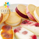【メーカー直送品・送料込】CANDICE(キャンディス) クッキーアイス6種とアイスキャンディー3本セットお中元 七夕 2025 ギフトアイスクリーム デザート スイーツ 誕生日 内祝い 退職 お祝い 転勤 お礼 お返し おしゃれ
