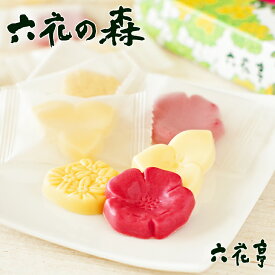 六花亭 六花の森(ハマナシ4個、オオバナノエンレイソウ4個、エゾリュウキンカ4個)プチギフト 北海 お土産 帯広 チョコレート 個包装 誕生日 内祝い 退職 500円 お返し デパ 地下 転勤 お礼