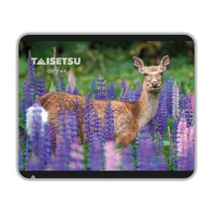 TAISETSU COFFEE hbvpbN@cؓE RNVyEzo Shika - Lupin IIzhV̓ c 2025 Mtg v`Mtg R[q[ hbvR[q[  NlR䂤pPbg([)OK |C