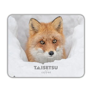 TAISETSU COFFEE hbvpbN@cؓE RNVyጊЂzhV̓ c 2025 Mtg v`Mtg R[q[ hbvR[q[  NlR䂤pPbg(lR|X [