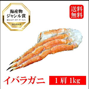 _XSiPT2{ 10/4`10/9^ CoKj 11kgsyY 蕨 Mtg v[g  ̓ Jj I Ε seafoodt