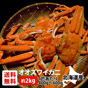 IIYCK(EIX) 2kgskC Y҉ p  ݂ Yn   Jj I  seafoodt