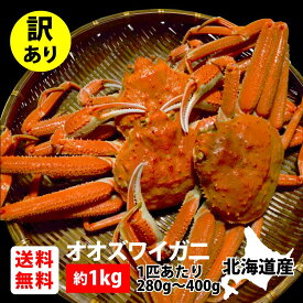 訳ありオオズワイガニ(板なし) 1kg《北海道 生産者応援 わけあり ご自宅用 料理 みそ 産地 時期 かに カニ 蟹 お買い得 seafood》