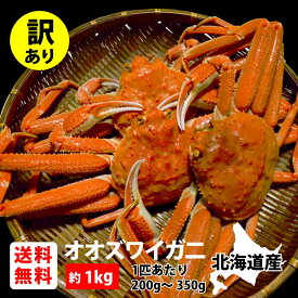 ＼店内全品PT2倍 1/9〜1/16／訳ありオオズワイガニ(板なし) 1kg《北海道 生産者応援 わけあり ご自宅用 料理 みそ 産地 時期 かに カニ 蟹 お買い得 seafood》