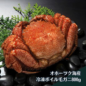 毛ガニ1尾/超特大サイズ約800g【北海道新鮮マルシェ】[16931]北海道　毛ガニ　カニ　毛蟹　ボイル　旬　800g　高級　旬　オホーツク産　贅沢　ごちそう　特大　冷凍　北海道フードマイスターの運営するお店　オホーツク　お歳暮