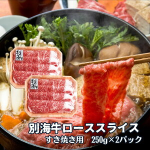 ʊC [X Y ~ Ăp t@[t[Y 500g Ⓚ  kC  Ă ؂ XCX Ԃ ґ ʊC G ʔ  kCt[h}CX^[