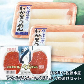 いかそうめん いくらしょうゆ漬け セット 2柵 2パック カネサン佐藤水産 100g 冷凍 送料無料 北海道 グルメ 海産物 お取り寄せ 通販 冷凍 イクラ イクラしょうゆ漬け 国産イクラ 鮭卵 刺身 お刺身 大粒 醤油漬け イカ イカソーメン お中元[17044]