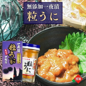 X[p[SALEN[|zz  L^TLEj É Y Ђ 60g 2r [Ƌg Ⓚ  kC O  ʔ 當 TLEj Ej E