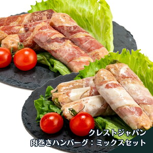 y \[Z[W y Iׂ W\ NXgWp Ⓚ  kC no[O  ܂ ٓ  AXp x[R `[Y  X[N H I