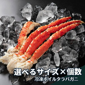 ^oKj r Ⓚ {C VAY IׂTCY Iׂ  0.6kg~2.2kg kC SC` ɋ O  CY@{C ꌨ ŃKj  Ε v[g ʔ 