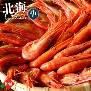 kC܂ 500g TCY {C  Ⓚ G[ER 500g 1pbN  kC ܂ zbJCGr Ⓚ r[ ̍ C̃r[ ̃Gr  G[ER ŃGr  }