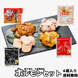 味付きホルモンセット ホルモン 牛ホルモン 豚ホルモン 味付き 大畠精肉店 900g 冷凍 送料無料 北海道 新十津川 BBQ 焼き肉 バーベキュー 通販 お取り寄せ セット テッチャン 牛ホル ピリ辛 マルチョウ 小腸 大腸 焼肉 家庭用 敬老の日