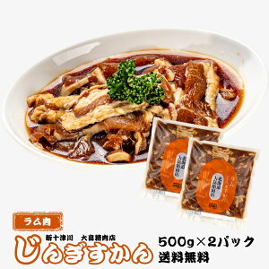 焼肉 ジンギスカン じんぎすかんセット ラム肉 味付き 大畠精肉店 500g 2パック 冷凍 送料無料 北海道 ホルモン 大畠精肉店 新十津川 味付き ジンギスカン ラム BBQ 焼き肉 バーベキュー 通販