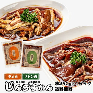 焼肉 ジンギスカン じんぎすかんセット ラム肉 マトン 味付き 大畠精肉店 250g 2パック 冷凍 送料無料 北海道 ホルモン 大畠精肉店 新十津川 味付き ジンギスカン ラム マトン BBQ 焼き肉 バー