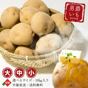 10/3`ȃN[|Ⴊ j 10kg IׂTCY kCY JA jႭ jႭ 񂵂Ⴍ WKC Ⴊ n鏒 oCV ΂ꂢ Ɩp Ⴊo^\ RbP 