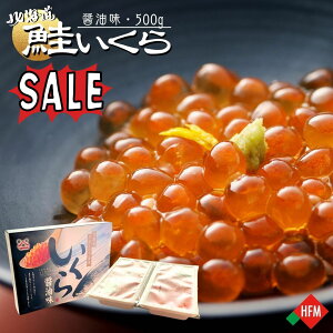 SS44OFFI݌Ɍ聙  ݖЂ 500g VR kCY Iz[cNY Y CN 嗱 CN 瘥 芪i ɂ   H F ۑ sgp Y 