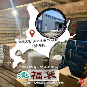 市場直送!おまかせ福袋【滝】 送料無料 完全ランダム 北海道 市場 お楽しみ 訳アリ 在庫処分 食品ロス フードロス おまかせ 冷凍 鮮魚 掘り出し物 海鮮 惣菜 直送 冷凍食品 運試し 地方卸売