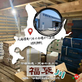 ☆8/9朝市クーポン枚数限定☆市場直送！おまかせ福袋 【川】送料無料 完全ランダム 北海道 市場 お楽しみ 訳アリ 在庫処分 食品ロス フードロス おまかせ 冷凍 鮮魚 掘り出し物 海鮮 惣菜 直送 冷凍食品 運試し