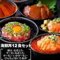 【海鮮丼 12食 セット】（鉄火（漬けまぐろ）2P・ねぎとろ2P・サーモンねぎとろ2P・サーモン2P・びんちょ…
