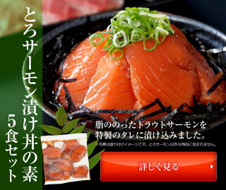クーポン配布中!トロサーモン漬け丼の素5人前/とろさーもん/鮭/とろサーモン/冷凍A